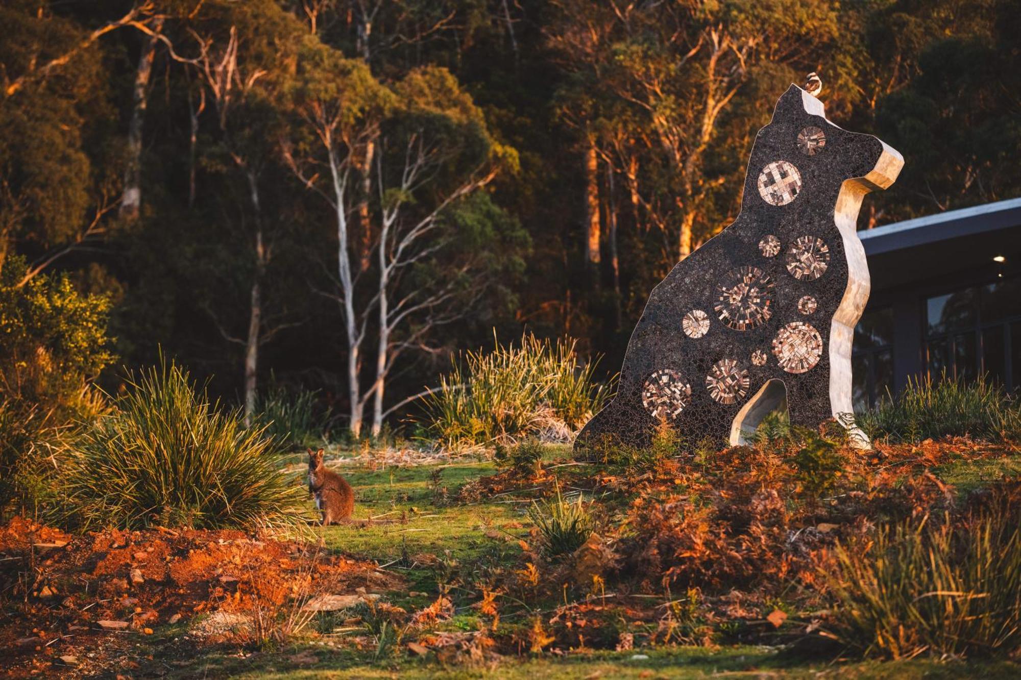 Freycinet Resort Колс-Бей Екстер'єр фото