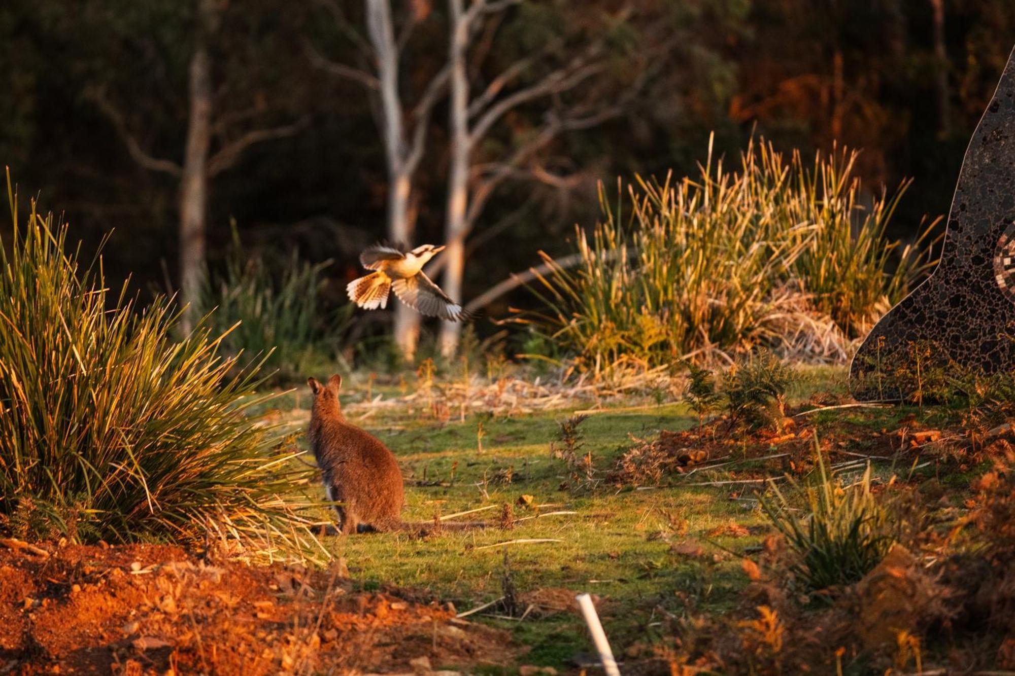 Freycinet Resort Колс-Бей Екстер'єр фото